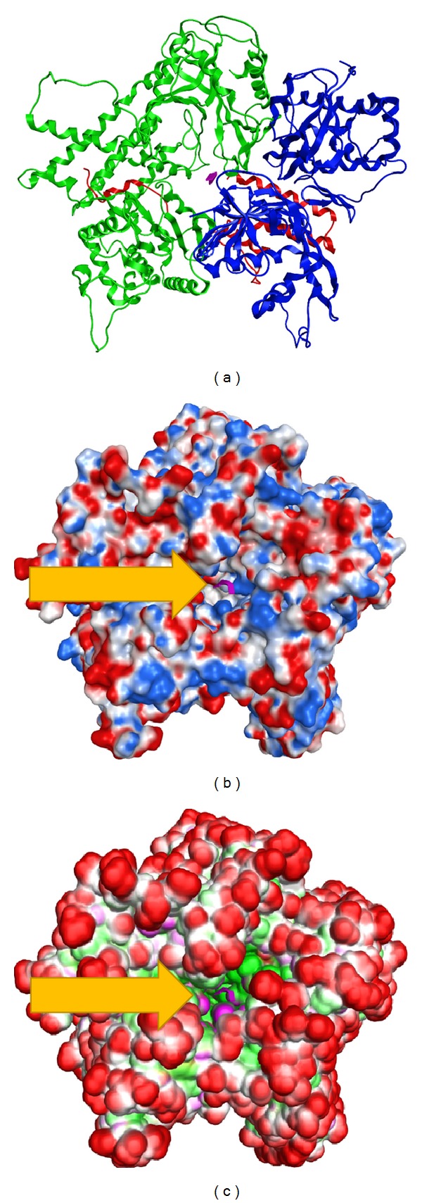 Figure 4