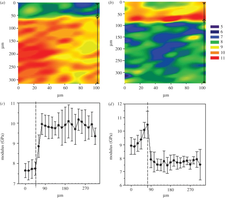 Figure 2.