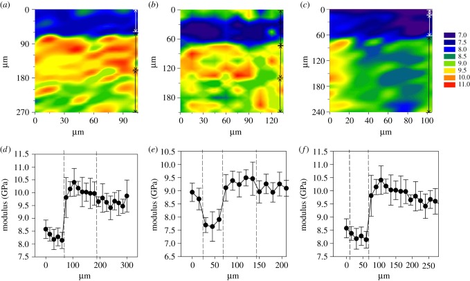 Figure 3.