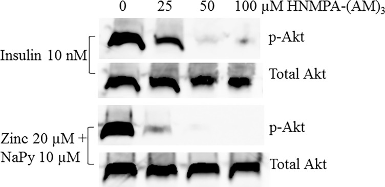 Fig 9