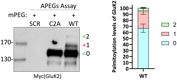 Figure 3