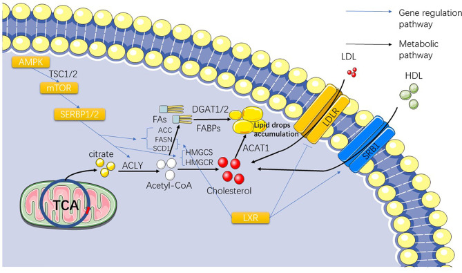 Figure 2