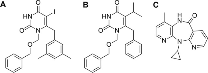 FIG 1