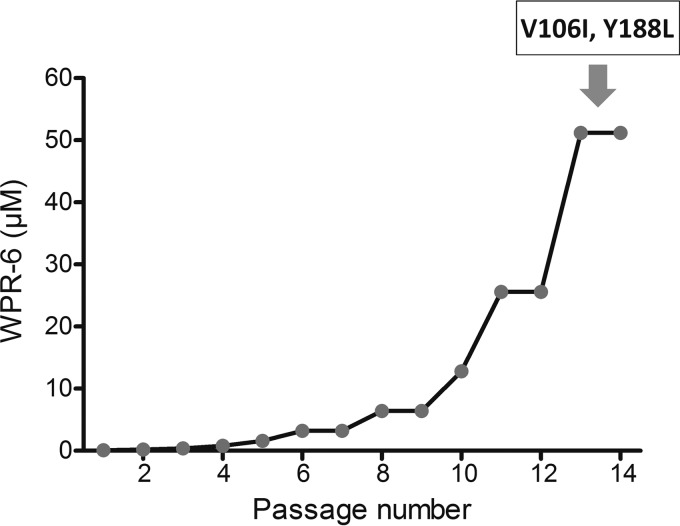 FIG 2