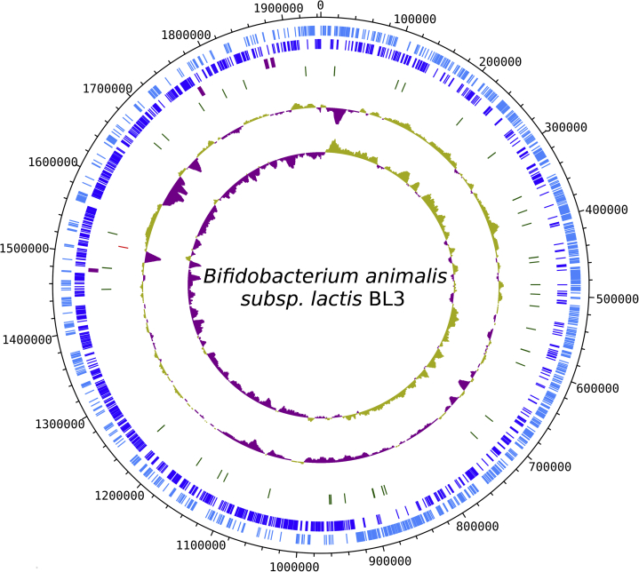 Fig. 1