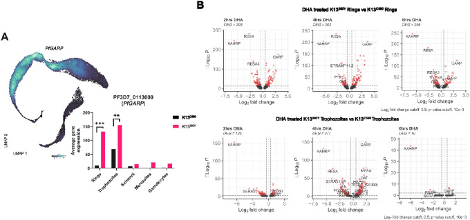 Figure 6: