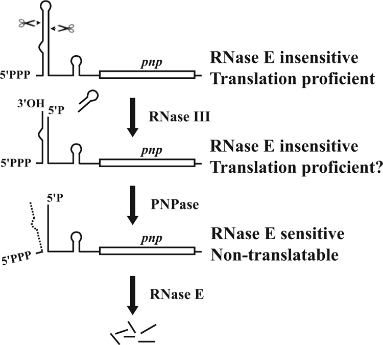 FIG. 8.