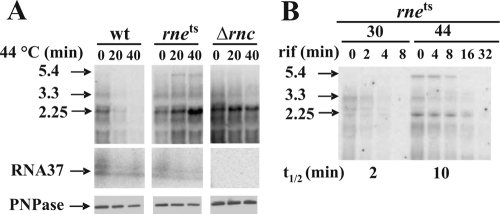 FIG. 5.