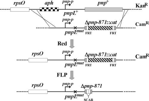 FIG. 1.