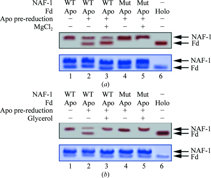 Figure 5