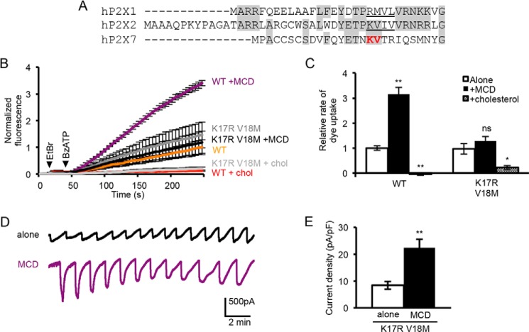 FIGURE 4.