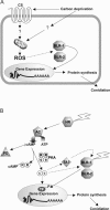 FIG. 6.