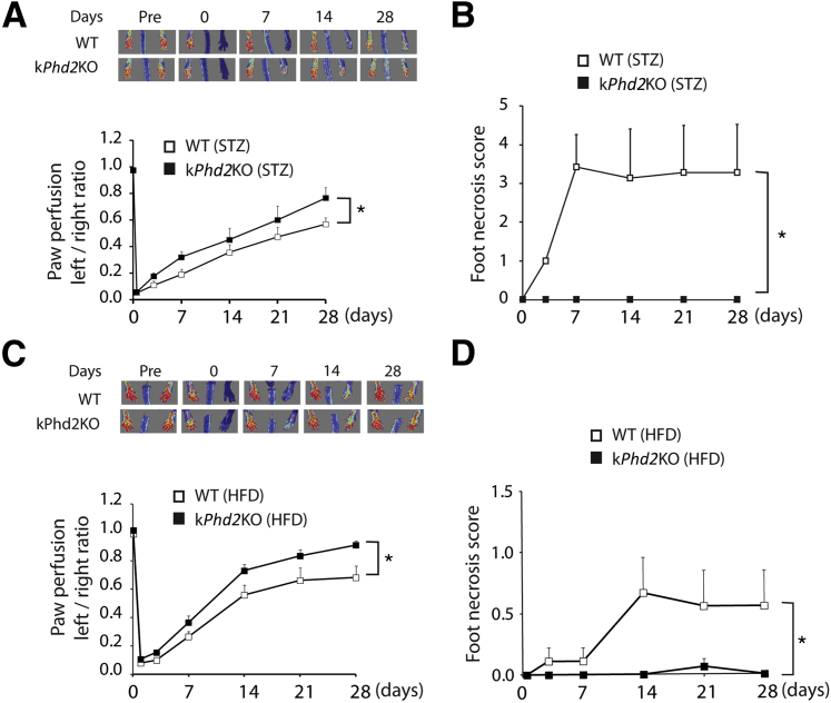 Figure 7