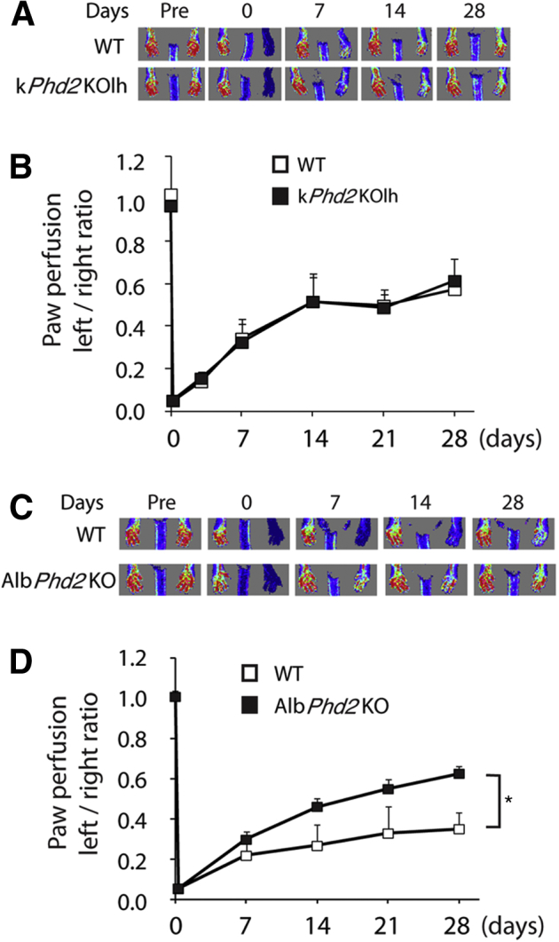 Figure 6