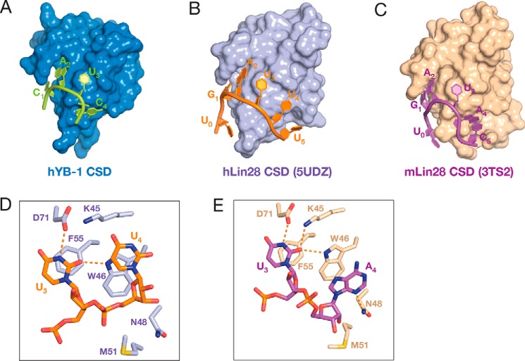 Figure 6.