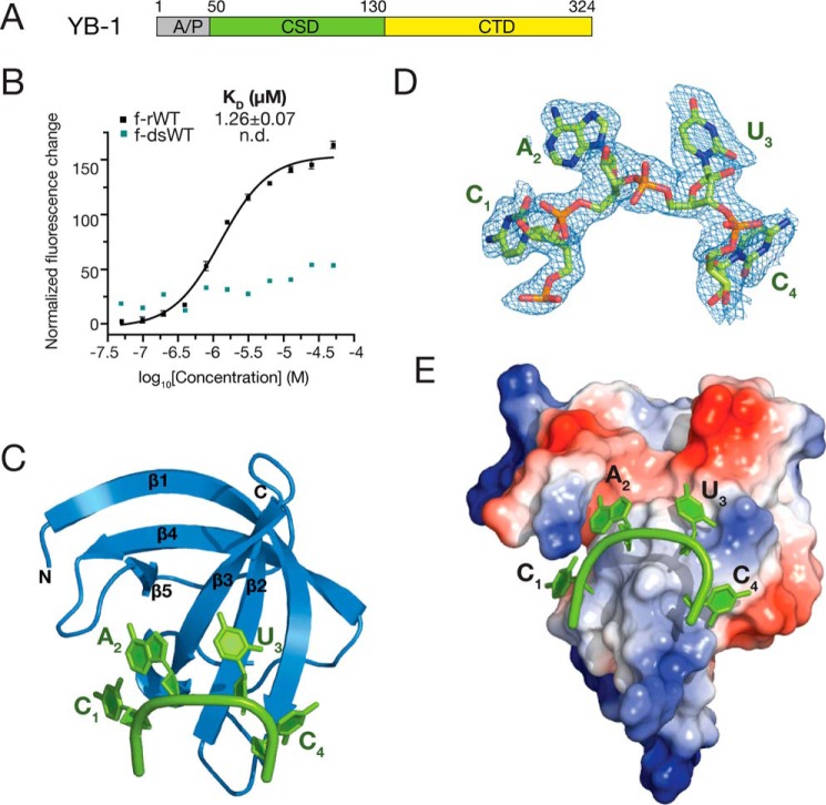 Figure 1.