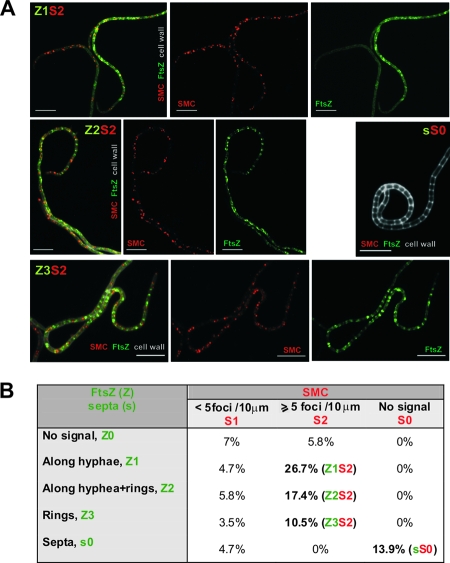 FIG. 6.