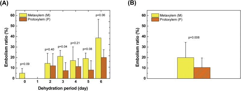 Fig. 6.