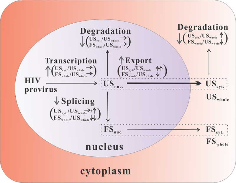 FIG 9