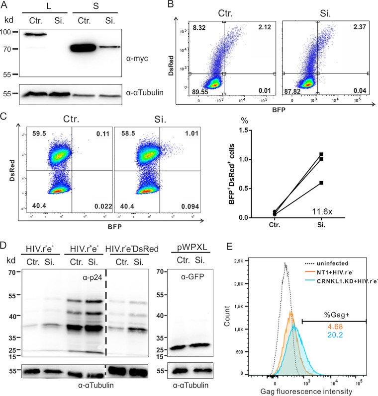 FIG 6