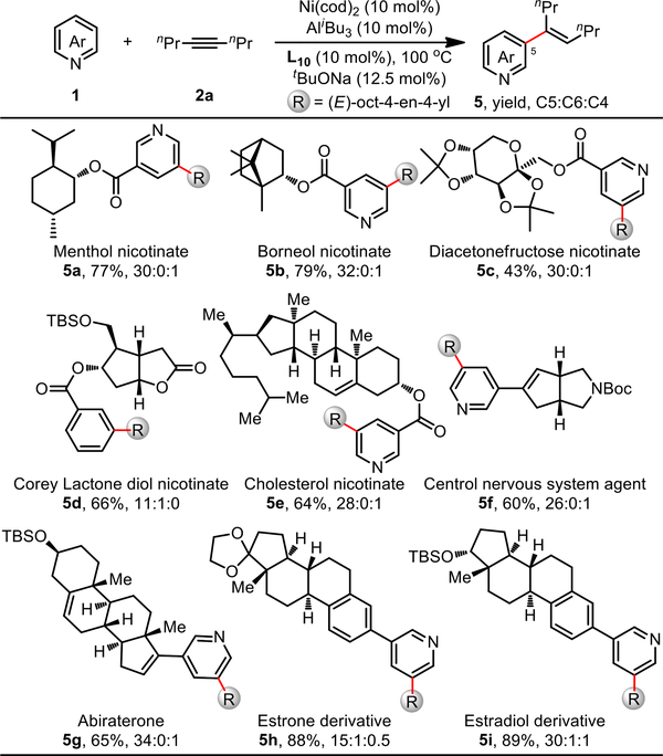 Scheme 6.