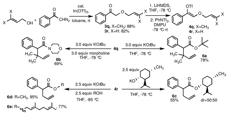 Scheme 5