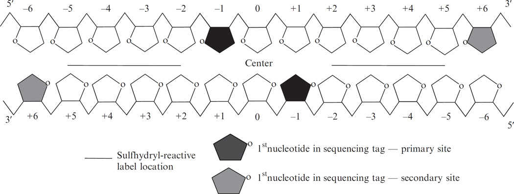 Figure 14.3