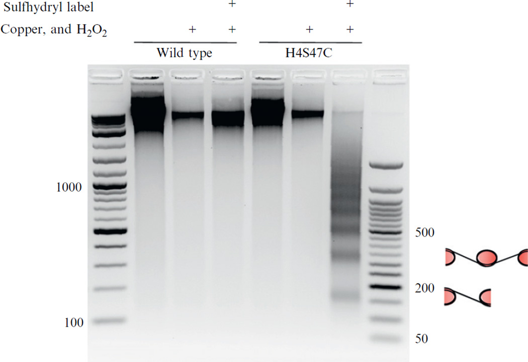 Figure 14.2