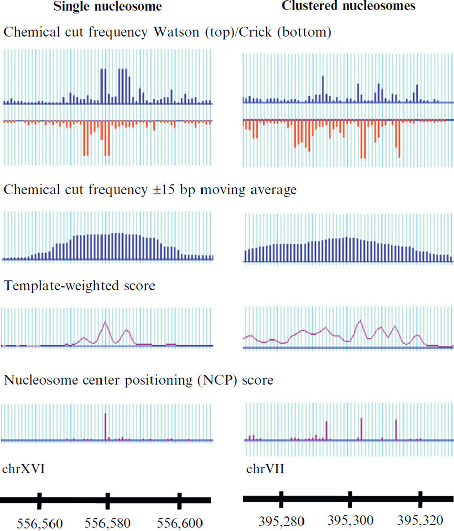 Figure 14.5