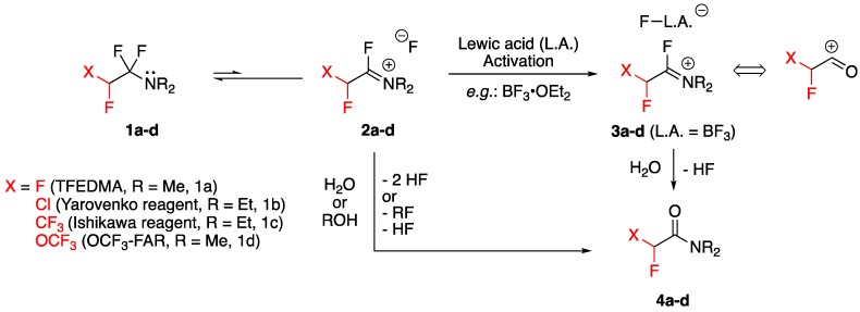 Scheme 2