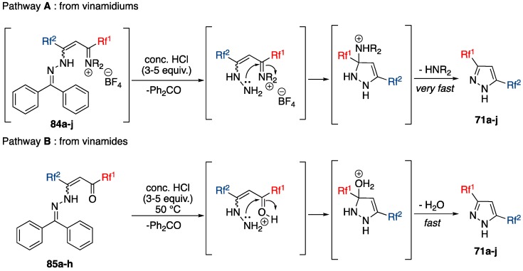 Scheme 22