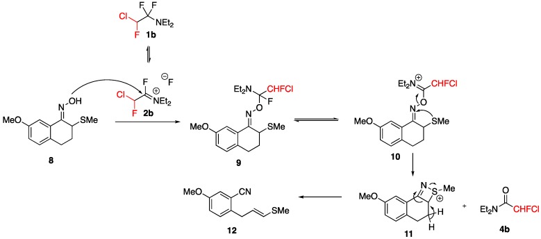 Scheme 6