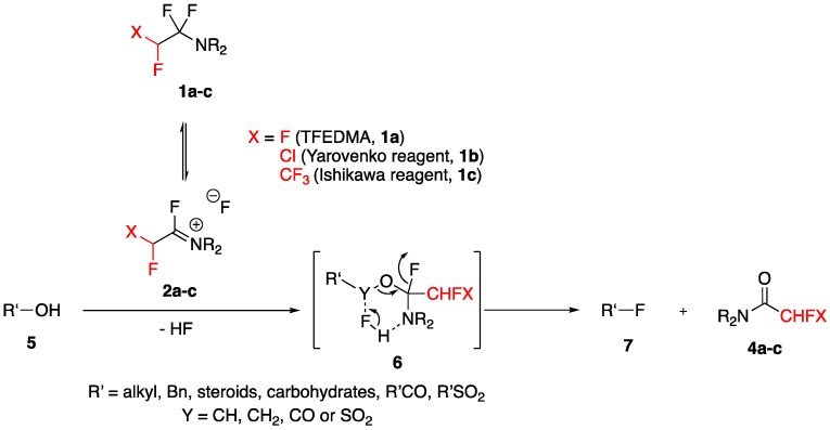 Scheme 5