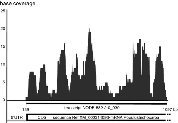 Figure 4 