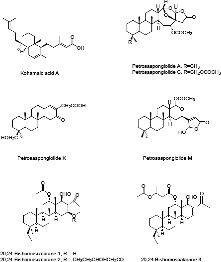 Fig. 10