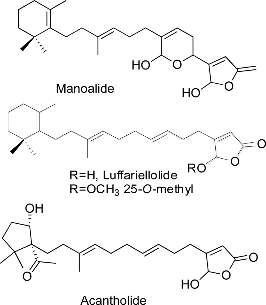 Fig. 5