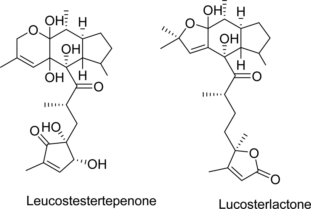 Fig. 15