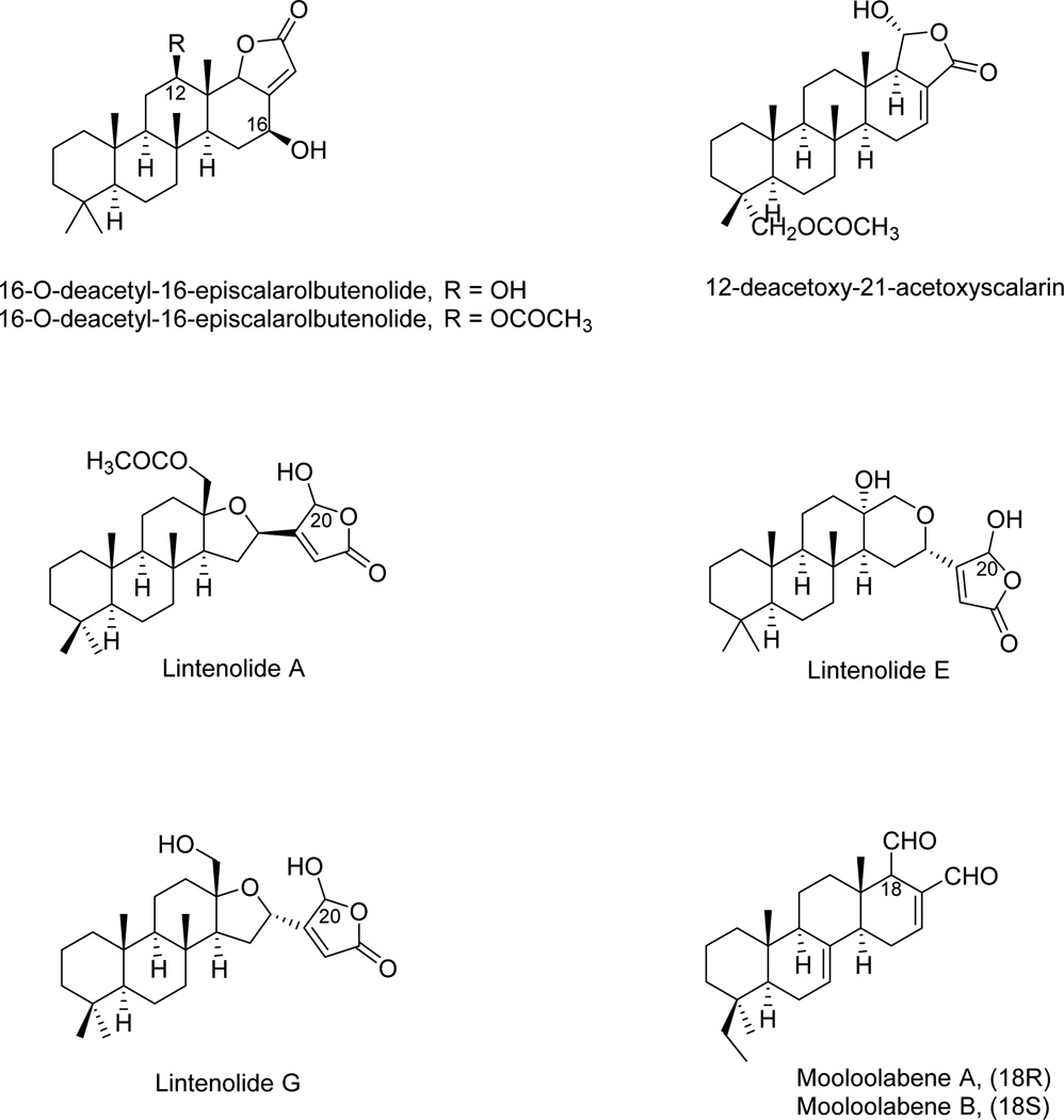 Fig. 12