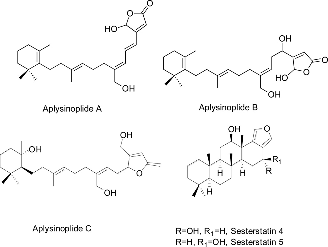 Fig. 7