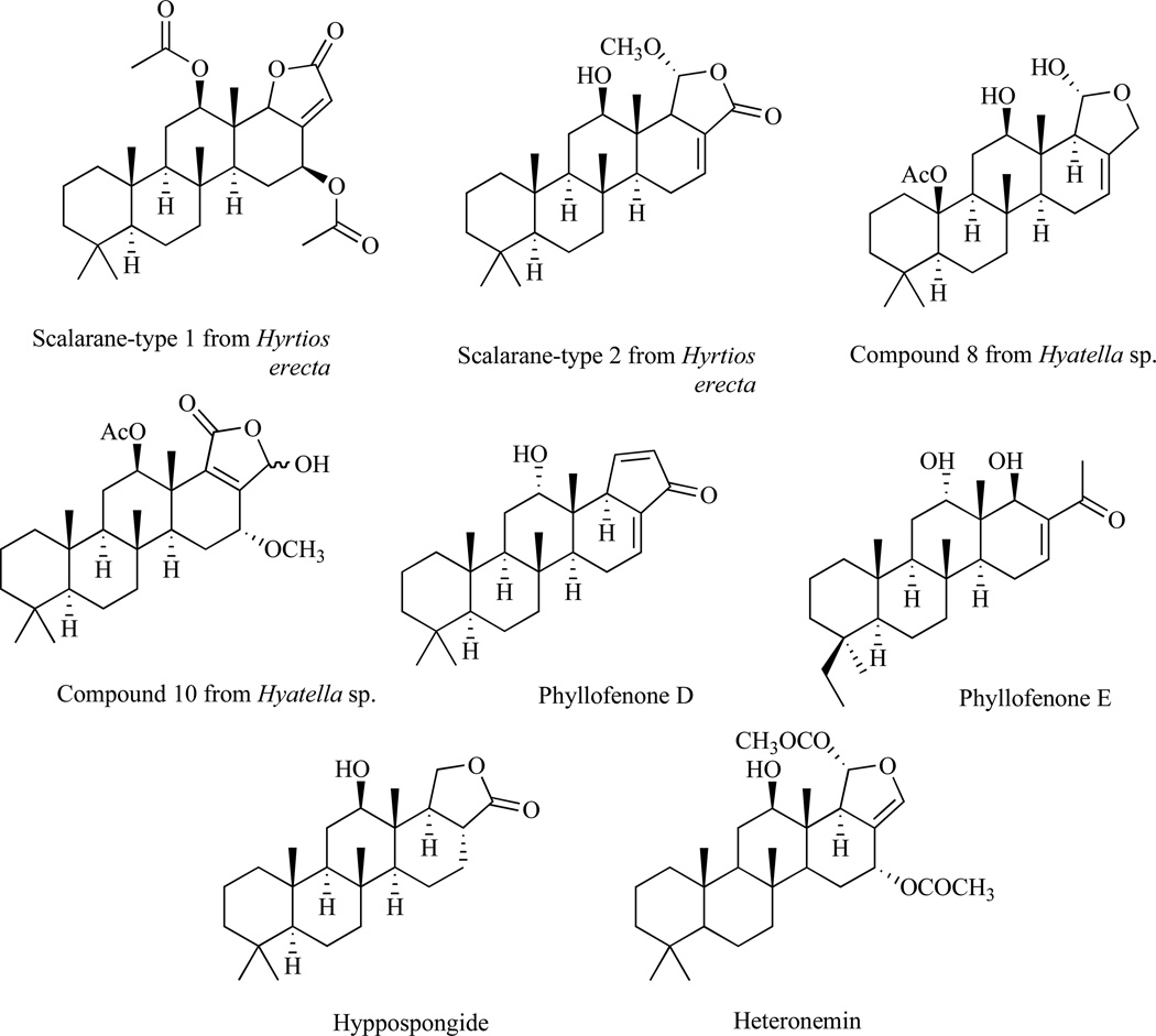 Fig. 13