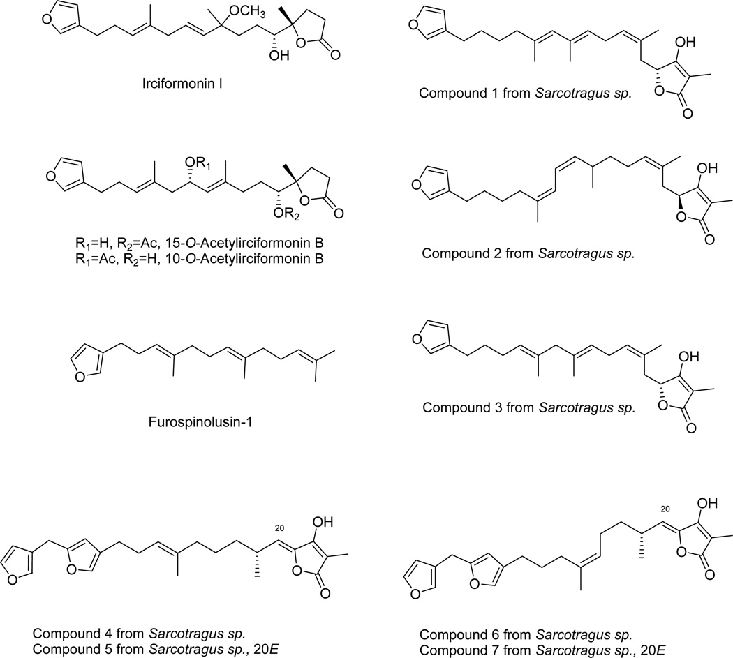 Fig. 8