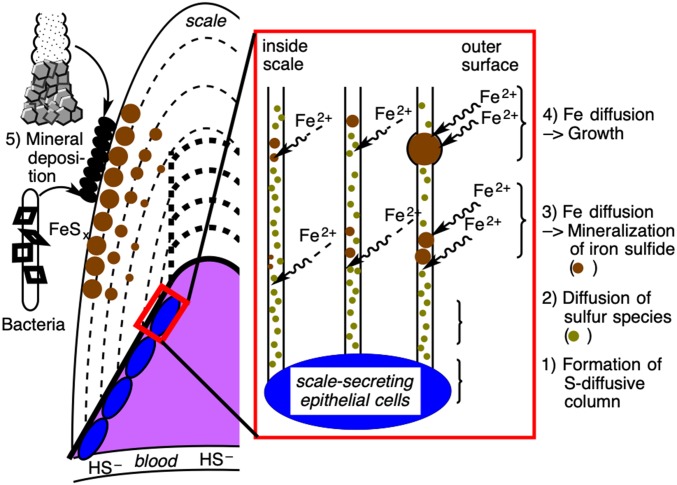 Fig. 4.