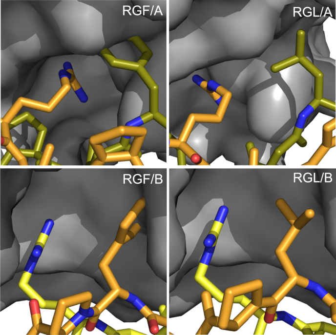 Figure 2