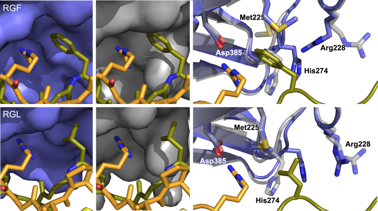 Figure 4