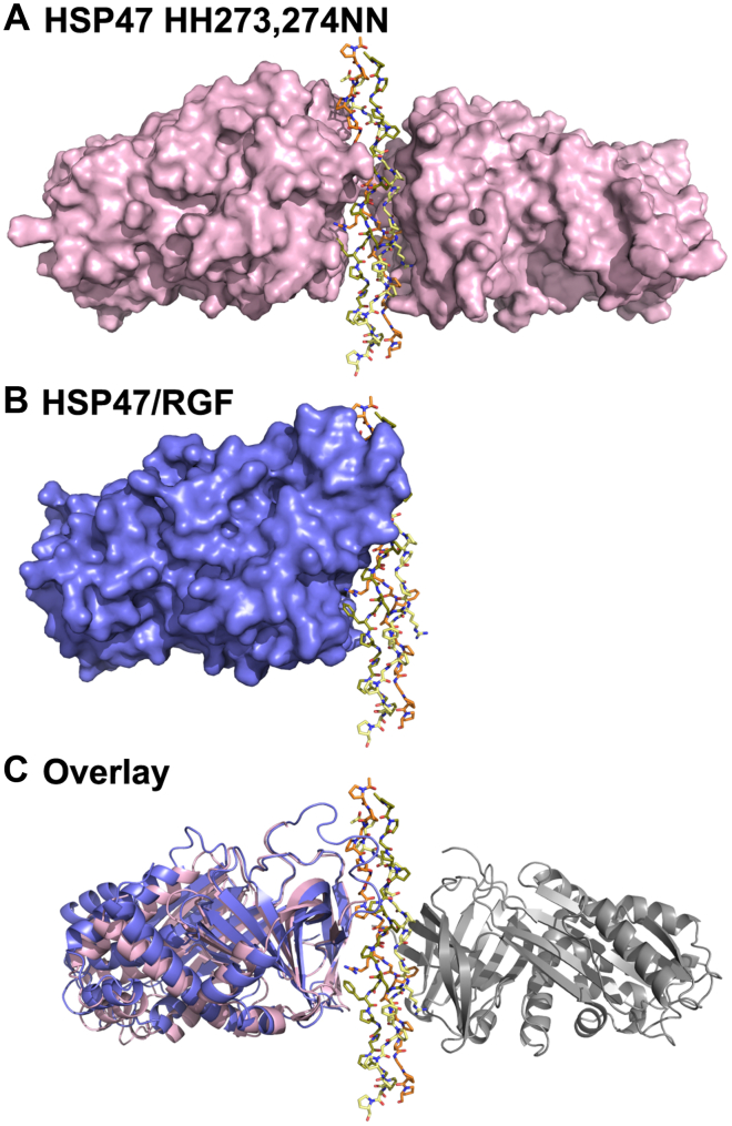 Figure 3