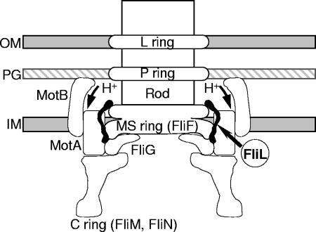 FIG. 9.