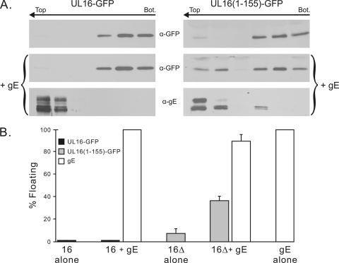 Fig. 9.