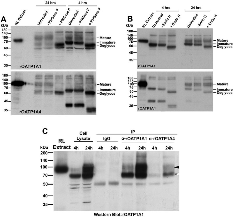 Figure 5: