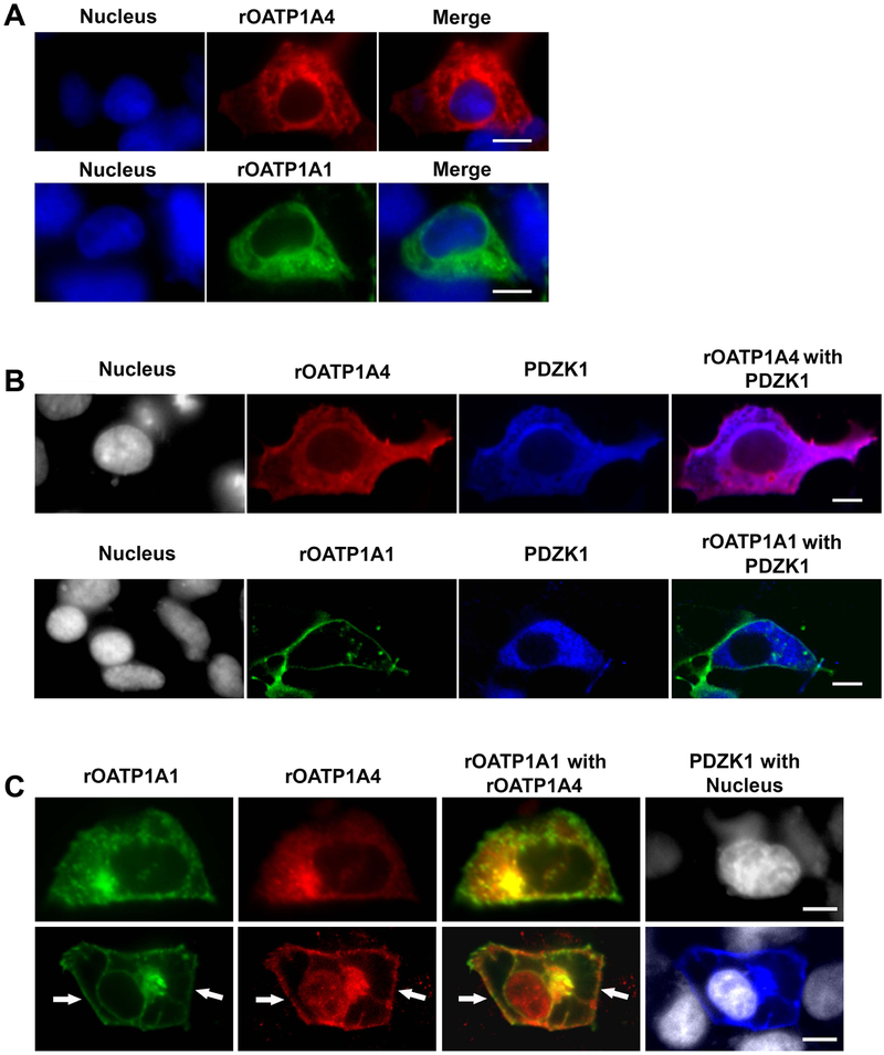 Figure 2: