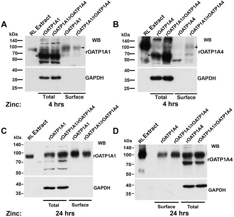 Figure 4: